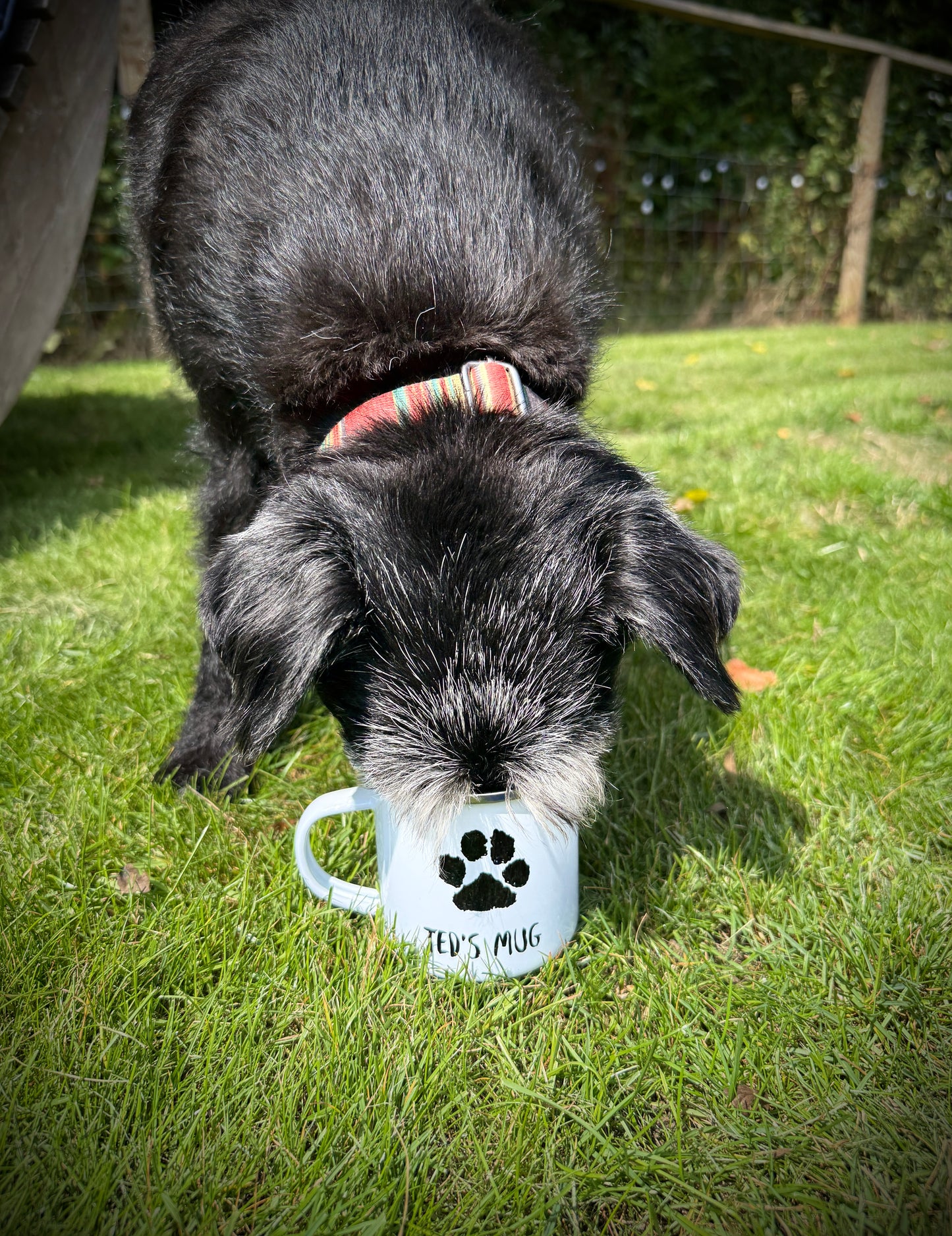 Ted's 'Pawprint' - Enamel Mug