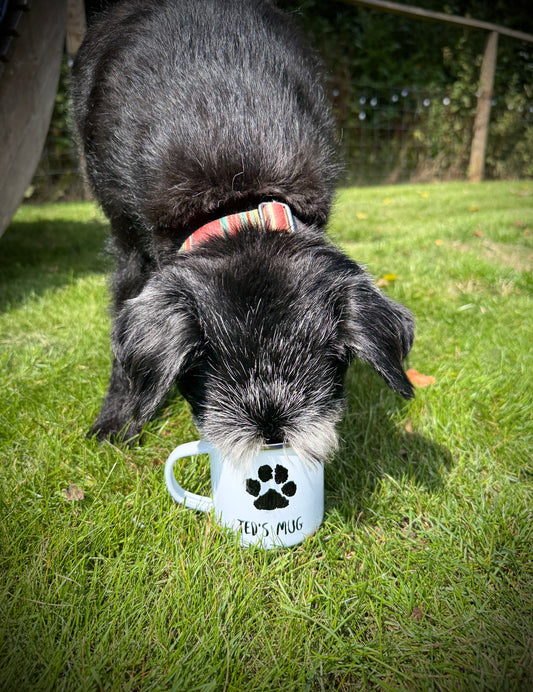 Ted's 'Pawprint' - Enamel Mug