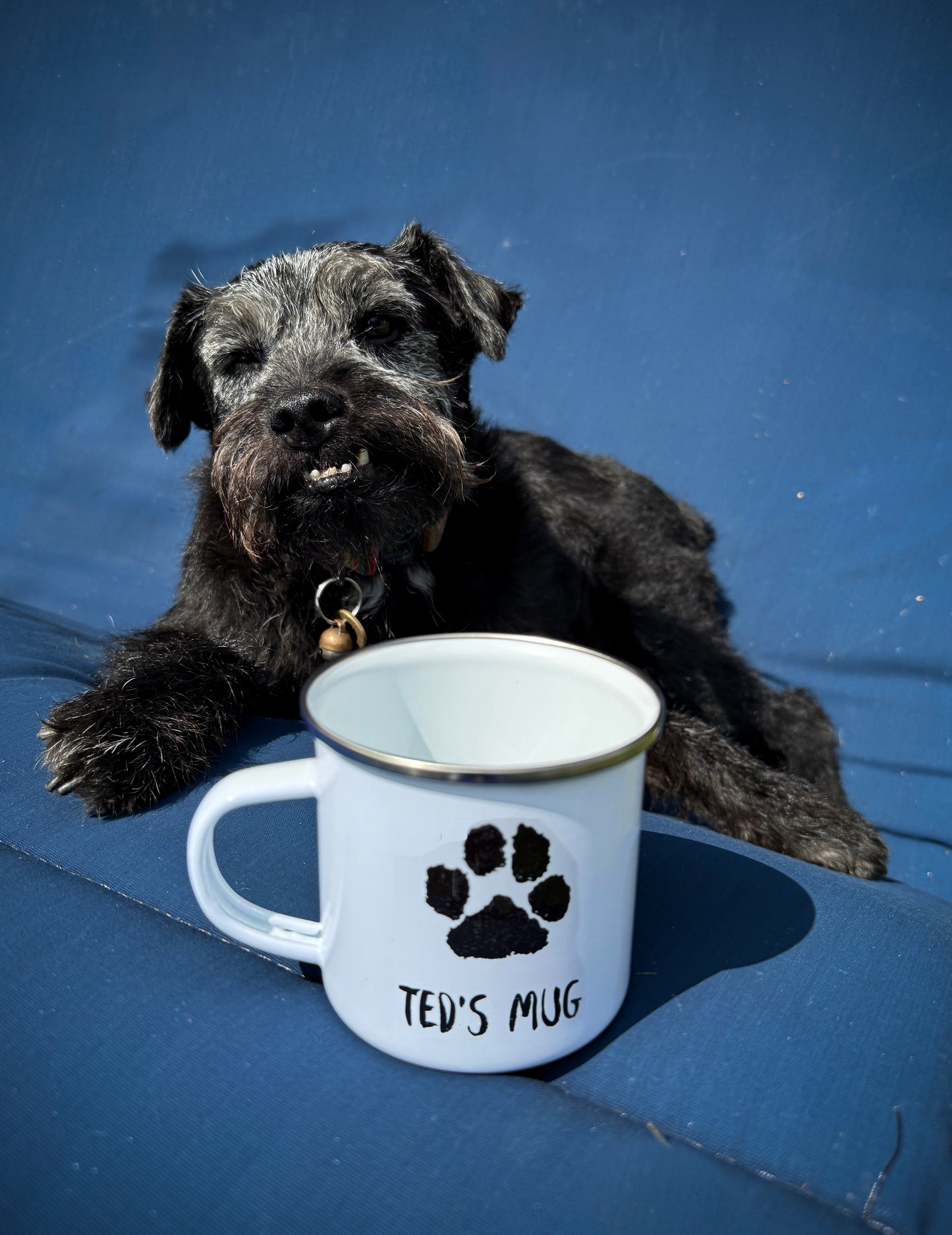 Ted's 'Pawprint' - Enamel Mug